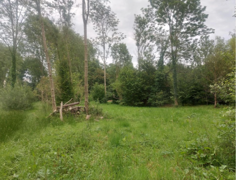 12 juni: De Spreekstoel met Natuurpunt - Natuur in de Vlierbeek Vallei 